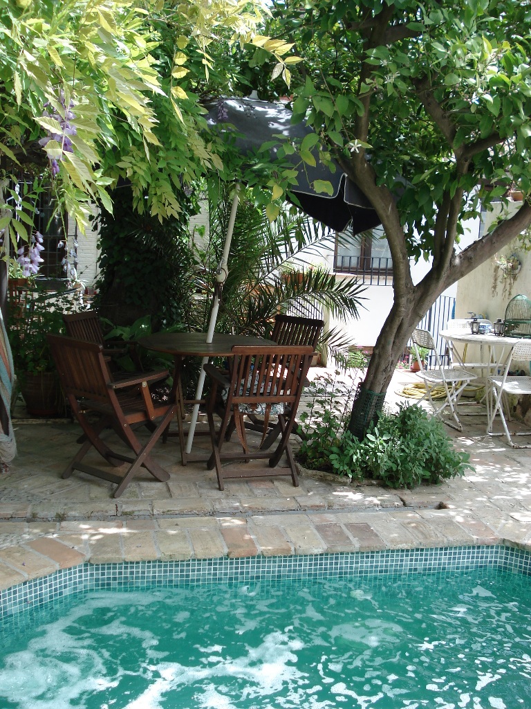View over the pool in the garden